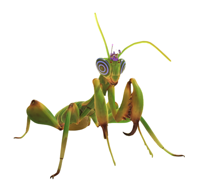 O.R.C. Praying Mantis Nymph